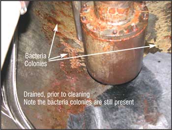 Preventing Bacterial Growth in Your Turbine